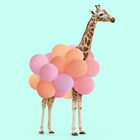 giraf met ballonnen